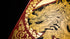 Bicycle Red Dragon Gold Foil Premium Playing Cards, 1 Deck...