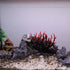 VOCOSTE Coral Reef Decor, Mini Faux Coral Decor for Aquarium Decorations, Black Red,6.5"x5.83"...