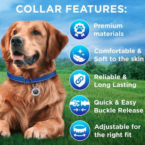 TECEUM Reflective Pet Collar – Navy blue – L – Basic Nylon Dog Collar – Quick Release Buckle – Fits Small, Medium and Large Dogs, Puppies, Cats – ...