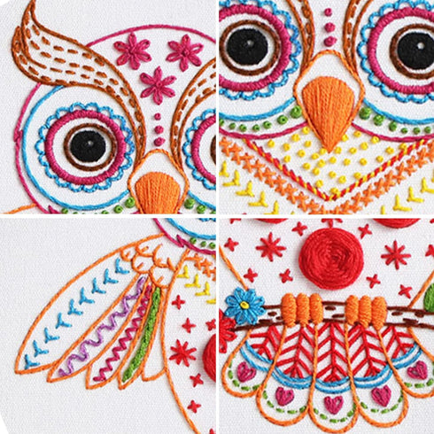 Louise Maelys Beginners Adults Embroidery Kit,Owl stamped pattern Practice kit,Starters cross stitch kit including embroidery hoop,cloth,needles, ...