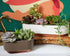 The HC Companies 9.5 Inch Sorrento Succulent Pot - Lightweight Indoor Plastic Succulent Planter with Drainage, Artisan Taupe...