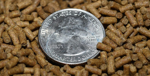 Aquarium Shrimp Food - Sinking Pellets for Aquatic Shrimp, Snail, Bottom Feeders - Complete Nutrition for Tropical Shrimp and Other Invertebrates...