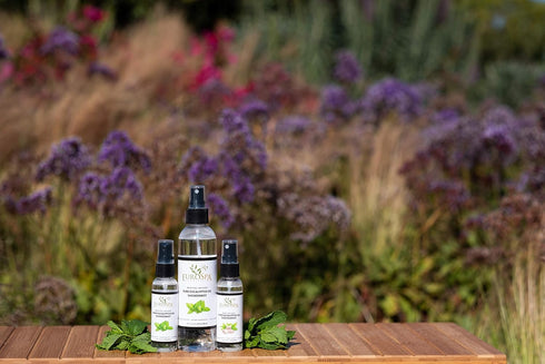 EuroSpa Aromatics Pure Eucalyptus Oil ShowerMist and Steam Room Spray, All-Natural Premium Aromatherapy Essential Oils - Variety Pack, 2 oz...