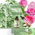 Rose Fragrance Oil 4oz for Aromatherapy Diffuser Oil Soap Candle Making Scents DIY Aroma Spary Oils...