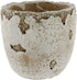 Distressed Weathered Cement Planter, 5 Inches - Unique Stone Plant Pot for Indoor Outdoor Home Garden Decor...
