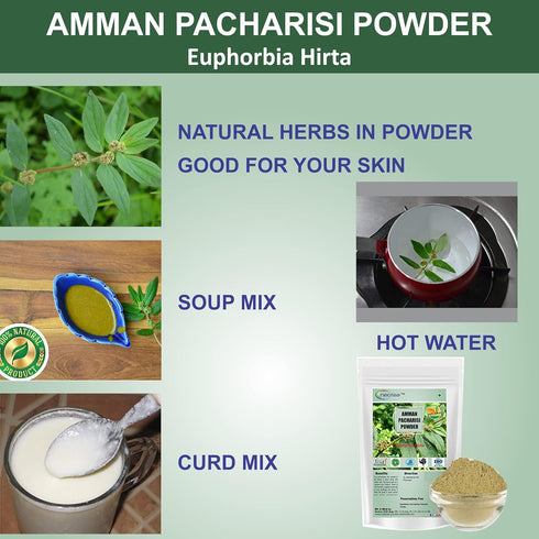 Amman Pacharisi | Euphorbia Hirta Powder 300 GM (10.58 OZ) pack of 1...