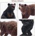 Toymany 6PCS Bear Figurines, Realistic Forest Animals Bear Family Figures Toy Set includes Brown Bears Black Bears and Cubs, Education Toy Birthda...