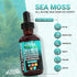 Clean Nutraceuticals Sea Moss Liquid Drops Supplement with Black Seed Oil Ashwagandha Burdock Root & Bladderwrack - Multimineral Organic Non-GMO V...