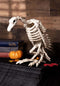 Crazy Bonez Skeleton Vulture...