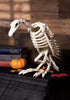 Crazy Bonez Skeleton Vulture...