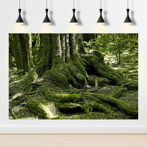 Reptile Habitat Background Huge Tree Incredible Moss Terrarium Background Tropical Jungle Aquarium Background Forest Rainforest Terrarium Backdrop...