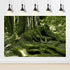 Reptile Habitat Background Huge Tree Incredible Moss Terrarium Background Tropical Jungle Aquarium Background Forest Rainforest Terrarium Backdrop...