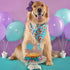 Ambishi's Barkday Cake Decor - Puppy Birthday Party, Baby Dog Toppers - Rose Gold & Blue Glitter...