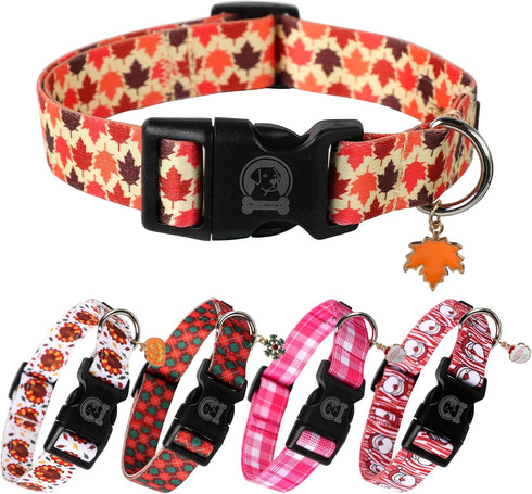 MR. CHUBBYFACE Fall Dog Collar Adjustable Pet Collar Maple Leaves Collar for Small Medium Large Dogs...