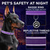 TECEUM Reflective Pet Collar – Purple – L – Extra Soft Padding – Basic Nylon Dog Collar – Quick Release Buckle – Fits Small, Medium and Large Dogs...