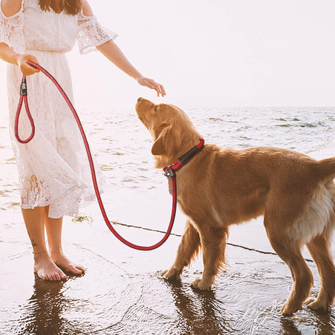 TwoEar Dog Leash Dog Slip Rope Leash 1/2" x 6FT Dog Training Leash Heavy Duty Strong Slip Lead Highly Reflective Threads for Small Medium and Larg...