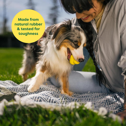 Earth Rated Dog Ball, Interactive Fetch Toy for Small, Medium, and Large Breeds, Comes in Multiple Sizes, Made with Natural Rubber, Perfect for In...