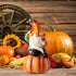 Jetec Fall Gnome Statue Fall Pumpkin Gnome Decoration White Beard Figurine Autumn Resin Dwarf Elf Statue for Porch Garden Outdoor Yard Halloween T...