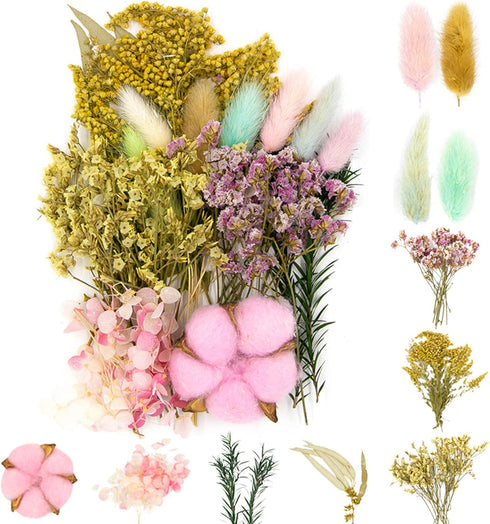 Vignee Real Dried Pressed Leaf Flowers-Multiple Colorful Pressed Flowers Daisies for Craft Resin Jewelry Making Art Craft DIY and Soap Candle Scra...