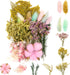 Vignee Real Dried Pressed Leaf Flowers-Multiple Colorful Pressed Flowers Daisies for Craft Resin Jewelry Making Art Craft DIY and Soap Candle Scra...