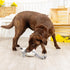 Fringe Studio Plush Dog Toy, Little Lamby, Pet Shop Collection (314135)...