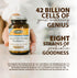 Flora - Super 8 Hi-Potency Probiotic - Daily Probiotic for Gut & Digestive Health - 42 Billion CFU - Contains Lactobacillus & Bifidobacterium Stra...