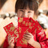 LIOOBO Chinese Red Envelopes: Lunar New Year of Money Envelopes, 2024 Chinese New Year Spring Festival Supplies (L-001 36Pcs)...
