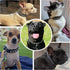 Spiked Dog Cat Collar Male Black Soft Leather Spike Puppy Collars Adjustable Mushroom Anti Bite Studded Dog Collars for Small Medium Large Dogs Ch...