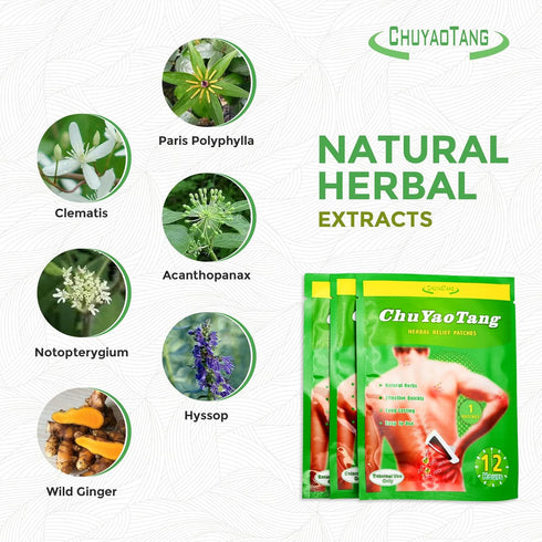 Herbal Relief Patches, Heat Patches for Neck, Shoulder, Knee, Ankle, Natural Herbs Patches, Long Lasting and Effective Quickly for Muscle, UP to 1...
