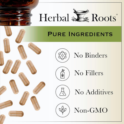 Herbal Roots Panax Ginseng | Organic Korean Ginseng Root Powder | 1000mg | High Ginsenosides for Energy & Performance | 60 Vegan Capsules...