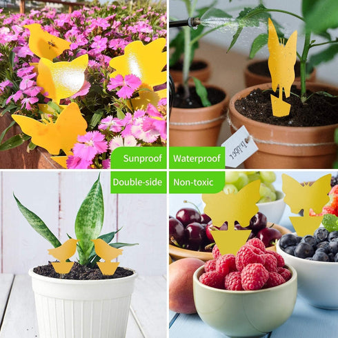 Fruit Fly Sticky Traps, sticky traps for bugs 96 pack Yellow Double Side Sticky Trap with Shovel for Gnat, Fruit Fly, White Fly, Aphid, Leaf Miner...