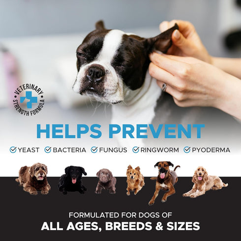 Pet Honesty OTIC Dog Ear Cleaner & Ear Health Support - Advanced Solution to Help Reduce Itching, Redness, Odor, Debris & Wax, Irritation & Inflam...