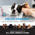 Pet Honesty OTIC Dog Ear Cleaner & Ear Health Support - Advanced Solution to Help Reduce Itching, Redness, Odor, Debris & Wax, Irritation & Inflam...