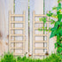 20 Pcs Mini Garden Ladder 2.36''x 0.78'' Miniature Ladder Model Mini Ladder Tiny Ladder Model Wooden Mini Doll House Ladder Accessories for Landsc...