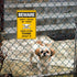 Funny Beware of Dog Sign Private Property No Trespassing Warning Signs, Beware don't touch my Tools, Yard Sign Garage Farm Garden Wall Decor Sign ...