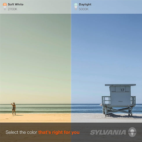 SYLVANIA LED TruWave Natural Series Globe Light Bulb, 60W Daylight Medium Base, Dimmable, Frosted - 6 Pack...