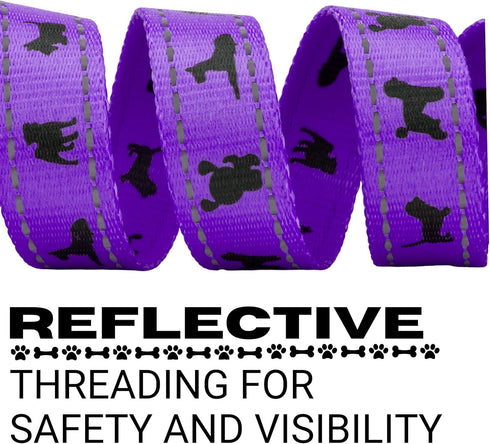 EcoBark Dog Leash - 4 FT / 5 FT / 6 FT Reflective Dog Leash- Eco-Bright Dog Leashes with Padded Handle - Strong Heavy Duty Dog Leash - Nylon Dog L...
