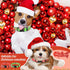 Buryeah 9 Pcs Holiday Dog Collars for Dogs Fall Autumn Dog Collars Adjustable Halloween Dog Collars with Plastic Buckle Thanksgiving Christmas Dog...