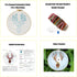 Yutaohui Deer Embroidery kit with Bird,Funny Handmade Gift Embroidery Kit for Adults Beginner,Stamped Cross Stitch Kit for Crafts Starters with 1 ...