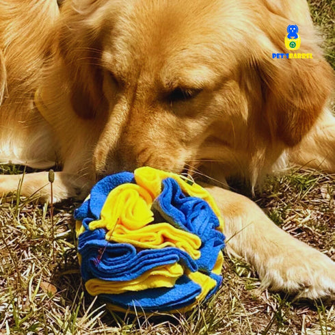 PET’SBARREL Snuffle Interactive Foraging Dog Puzzle Ball - Dog Enrichment Toys, Vibrant Yellow and Blue - Optimal Visual Stimulation. Dogs toys fo...