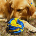PET’SBARREL Snuffle Interactive Foraging Dog Puzzle Ball - Dog Enrichment Toys, Vibrant Yellow and Blue - Optimal Visual Stimulation. Dogs toys fo...