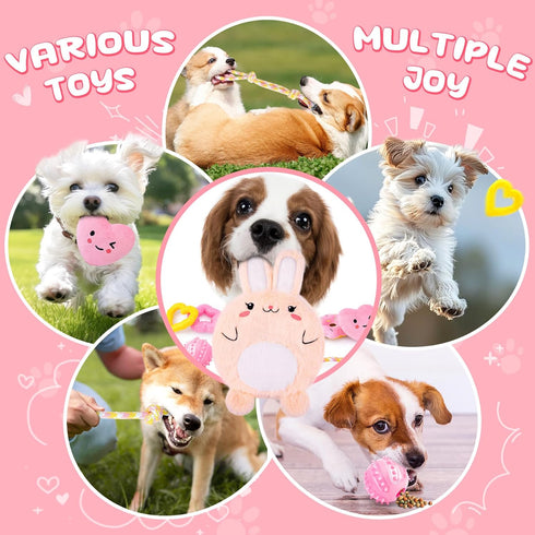 Pink Puppy Toys - 9 Pack Puppy Chew Toys for Teething, Interactive Dog Toys for Puppies, Small Dog Toys with Squeaky Dog Chew Toys, Treat Ball and...