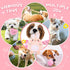 Pink Puppy Toys - 9 Pack Puppy Chew Toys for Teething, Interactive Dog Toys for Puppies, Small Dog Toys with Squeaky Dog Chew Toys, Treat Ball and...