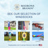 Pirate Skull and Bones Windsock | Durable Outdoor Hanging Decoration | Yard, Garden, Patio, Halloween and More | 60 Inch...