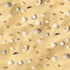 Ira Pollitt Tiny Natural Mixed Ocean Sea Shells Tiny Miniature Beach Critter Seashells Variety Beach Decor Crafts for Arts & Crafts Projects, Home...