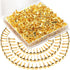 500PCS Mini Paper Brads, HNYYZL Paper Brass Fasteners Metal Brass Brads with Box, Mini Round Head 8mm Paper Fasteners for Paper Crafts, Scrapbooki...