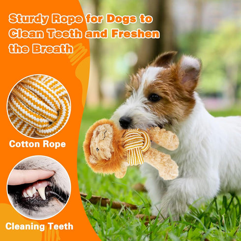 Squeaky Dog Toys, Cute Lionet with Rope for Teething, Sturdy Dog Chew Toys for Small and Medium Dogs...