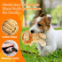 Squeaky Dog Toys, Cute Lionet with Rope for Teething, Sturdy Dog Chew Toys for Small and Medium Dogs...