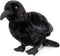 Crow Stuffed Animals - Realistic Standing Black Raven Plush Toy 10inch, Soft Plush Toy Crow Wild Animal Dolls, Cute Little Bird Raven Plush as Gif...