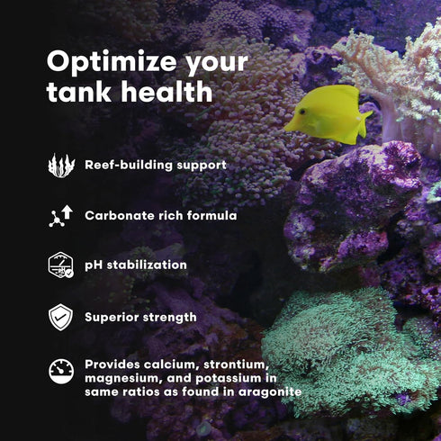 Brightwell Aquatics NeoNitro Balanced Nitrogen Supplement - Reef Nutrient Enhancer for Ultra-Low Nutrient Systems - Aquarium Water Treatments, 8.4...